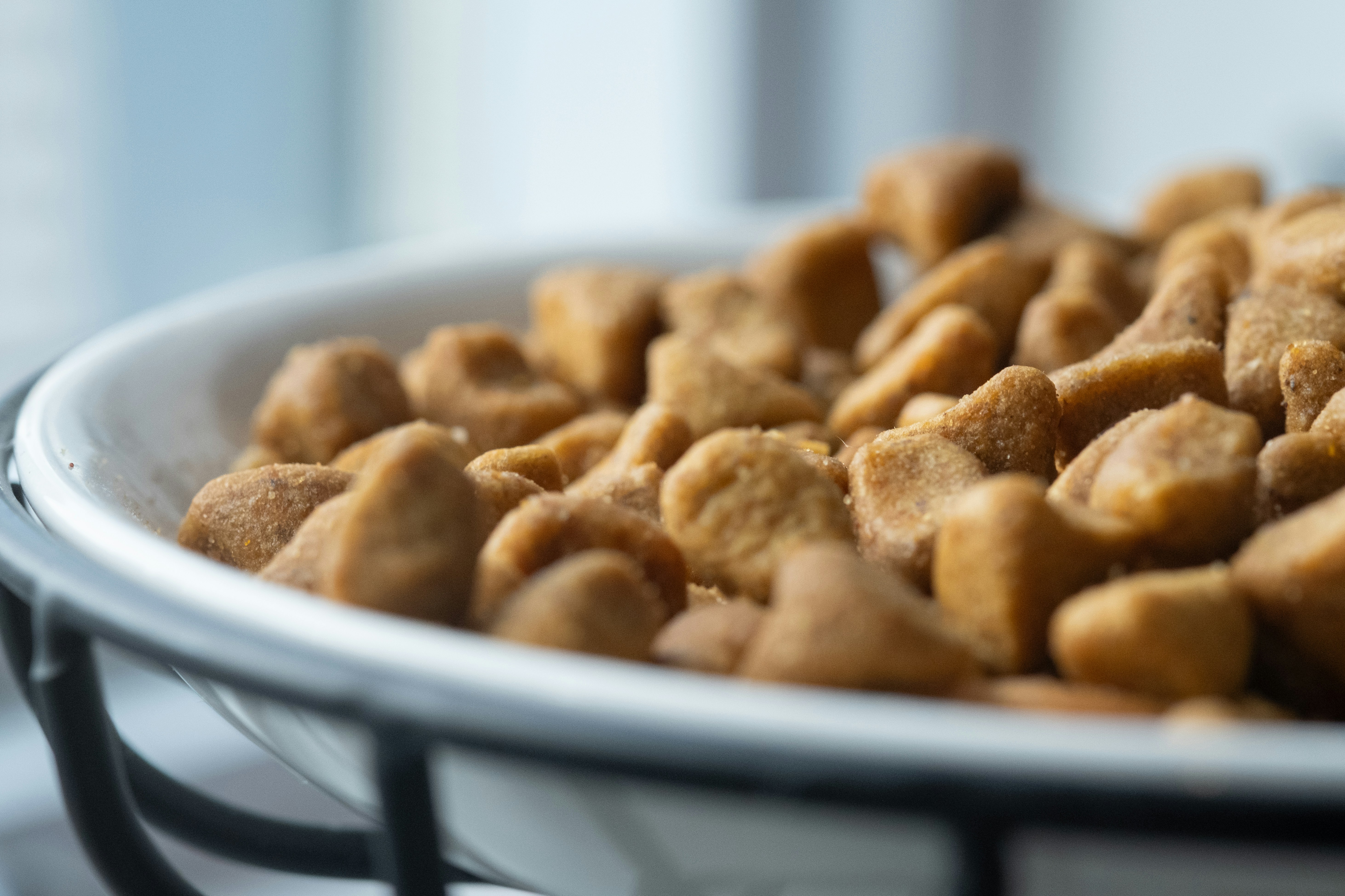 Dog food company